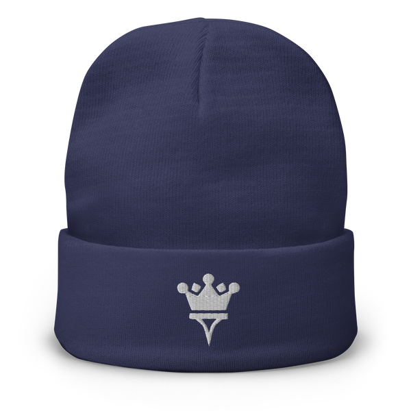 TGT Navy Beanie